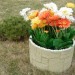 Цветник КАНЬОН купить в Магнитогорске