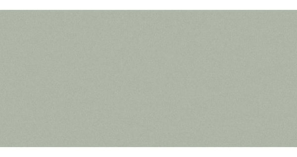 Сайдинг CEDRAL smooth (гладкий) С06 купить в Магнитогорске